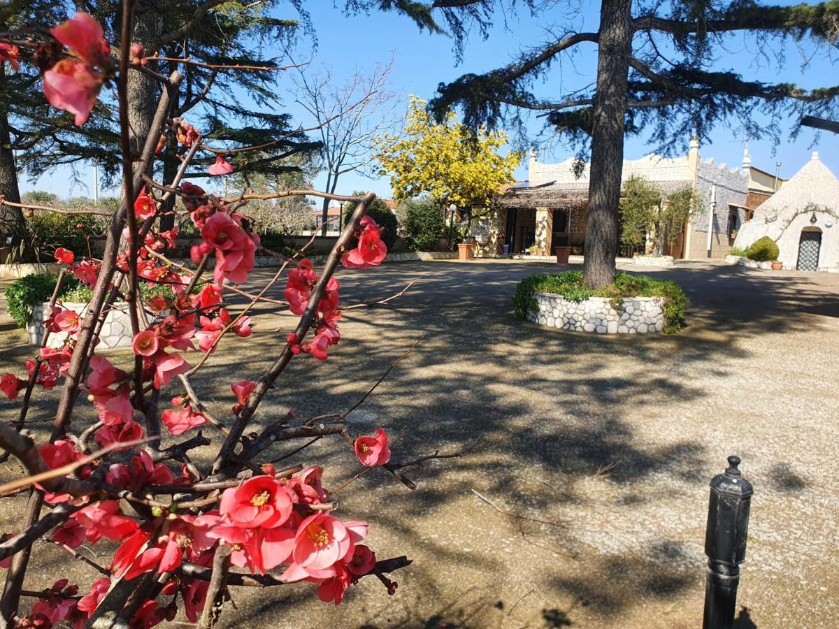 B&B Mandorla Amara Джоя-дель-Колле Экстерьер фото